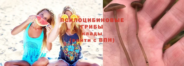 СК Богданович