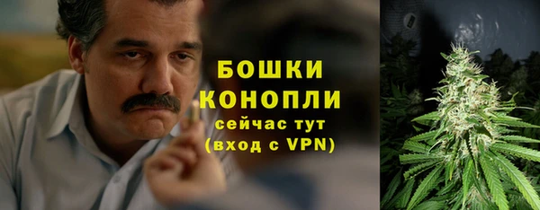 PSILOCYBIN Беломорск
