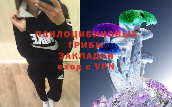 прущий лед Белокуриха
