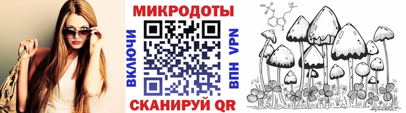 площадка наркотические препараты  сколько стоит  Кировград  Галлюциногенные грибы Psilocybe 